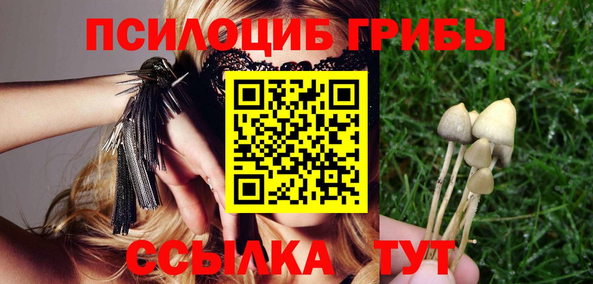 Белорецк  Псилоцибиновые грибы MAGIC MUSHROOMS  Вход с VPN 